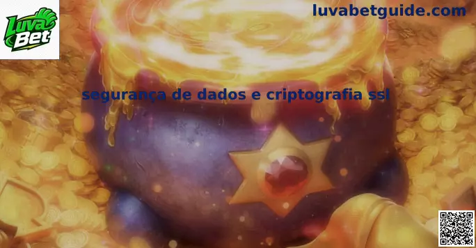 Segurança de dados e criptografia SSL Luva Bet