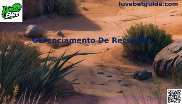 Gerenciamento de Recursos e Banca na Luva Bet